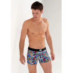 BOXER "YDILLE" - HOM