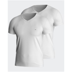 LOT 2 T-SHIRTS JERSEY COL EN V - EDEN PARK