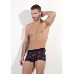 BOXER "CARLYLE" - HOM